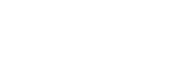 Cruise Guide